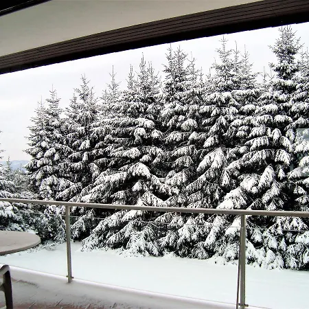 Ferienhaus Beja Winterberg